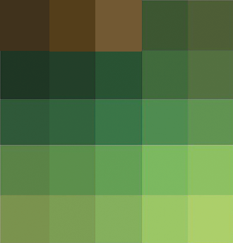 Image styleguide forrest palette